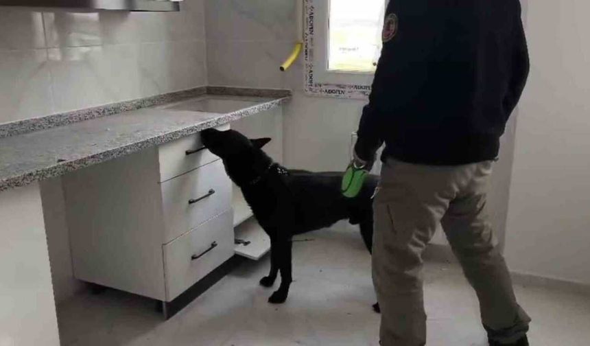 Adana’da 72 bin hap ele geçirildi: “Bizim değil” dediler