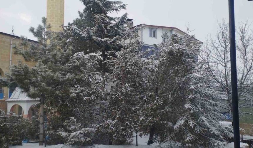 Adana’da Kar Sürprizi