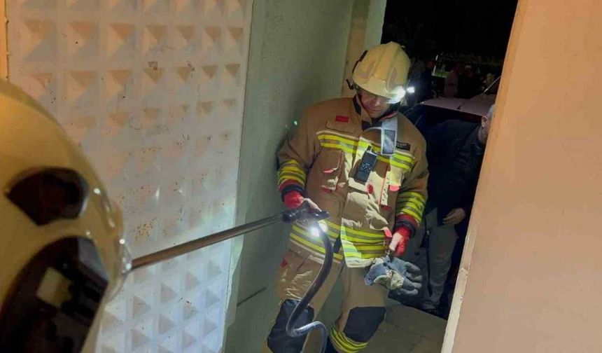 Hatay’da camide görülen yılan itfaiye tarafından yakalandı