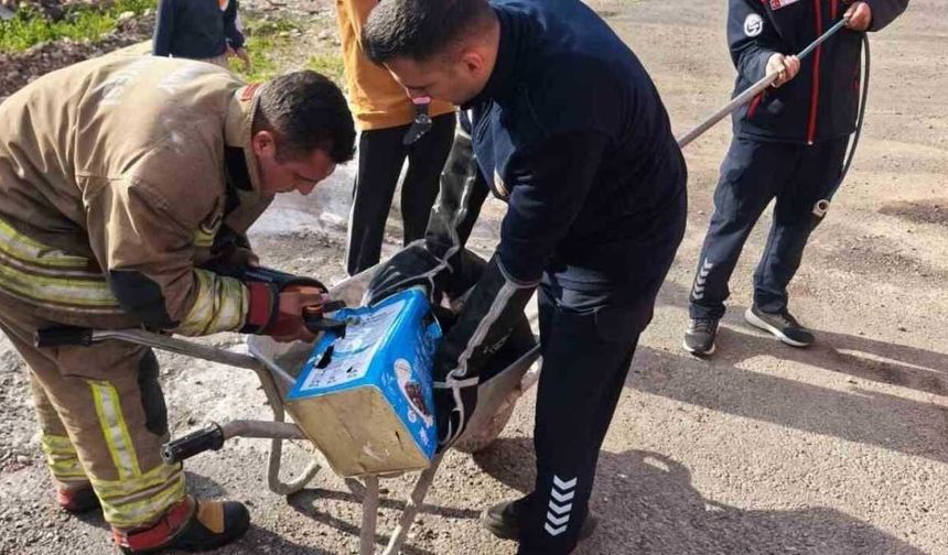 Hatay’da mahsur kalan köpekleri itfaiye kurtardı