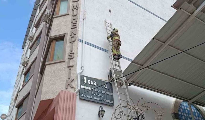 İskenderun’da ipe dolanan kuşu itfaiye kurtardı