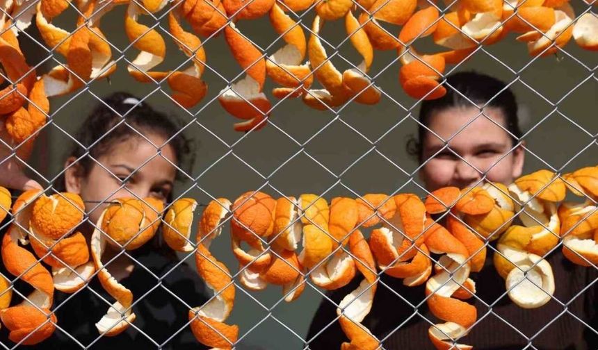Limon ve turunç kabukları ekonomiye kazandırılıyor
