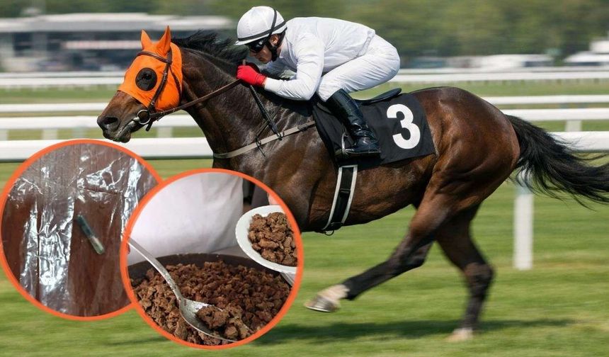 Mersin'de şampiyon atı aşevinde kavurma olarak yedirdiler!