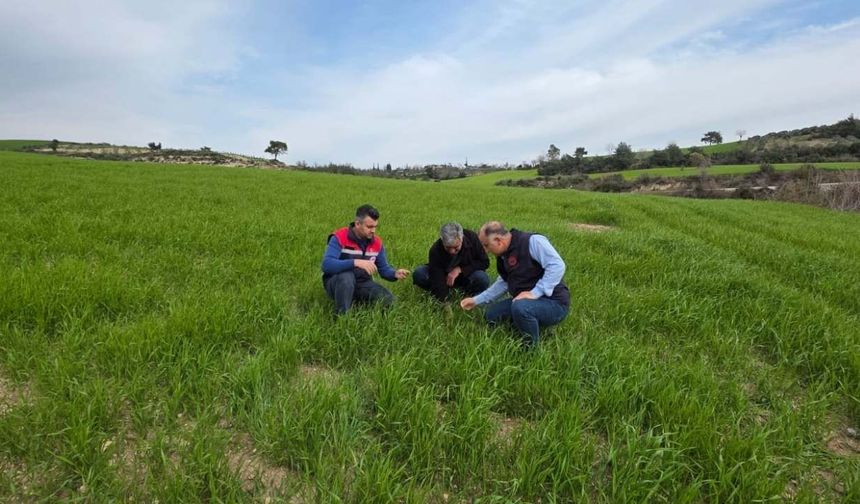 Osmaniye İl Tarım’dan Bitki Sağlığı İçin Yakın Takip