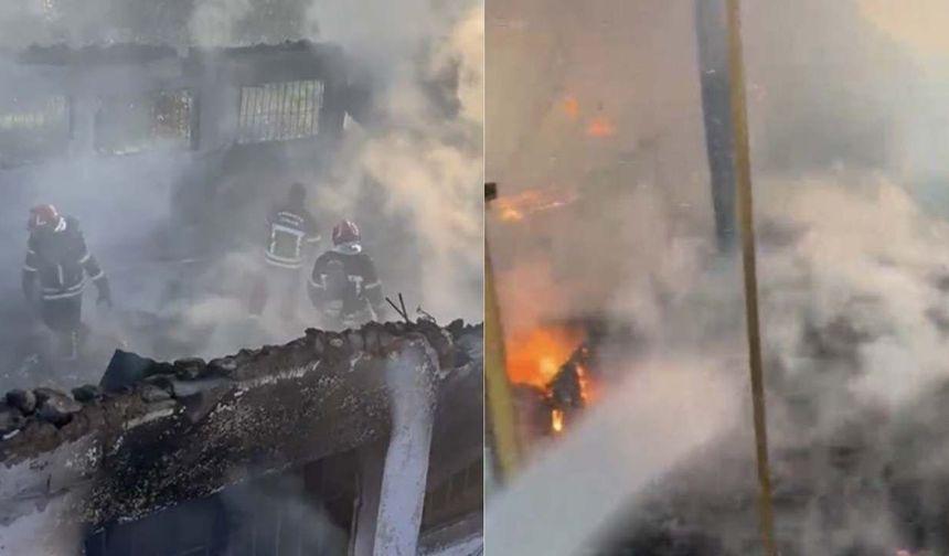 Osmaniye'de Çiftlik Yangını: 8 Koyun ve 120 Kümes Hayvanı Can Verdi