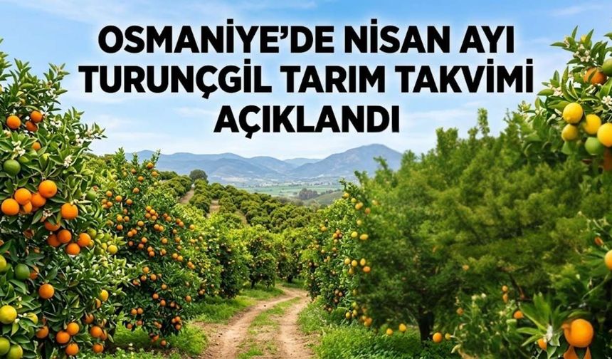 Osmaniye'de Nisan Ayı Turunçgil Tarım Takvimi Açıklandı