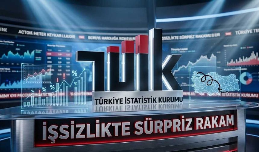 Osmaniye'nin İşgücü Karnesi Belli Oldu İşte Son Rakamlar