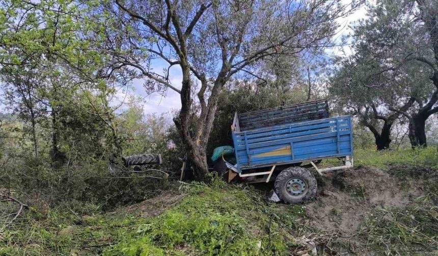 Zeytin bahçesine uçan patpatın sürücüsü hayatını kaybetti