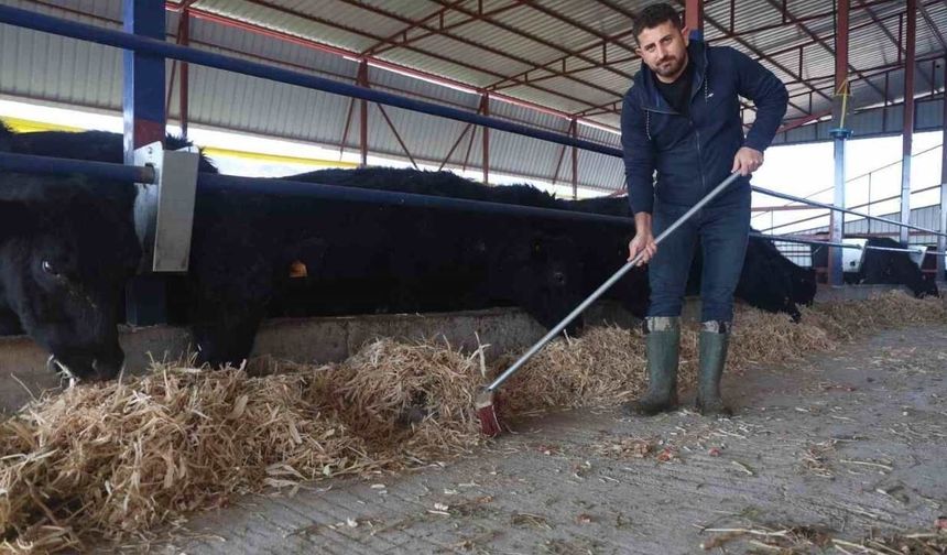 Ziraat mühendisliğini bırakıp çiftlik kurdu: Hedefi 100 hayvan