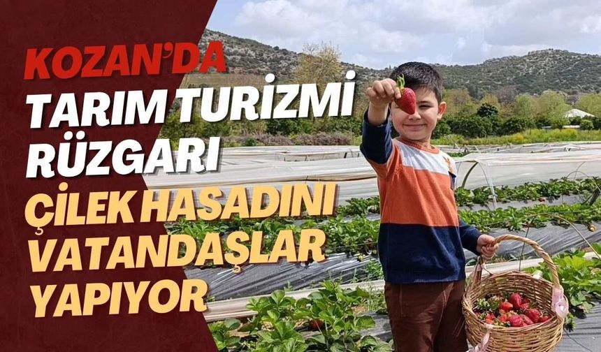 Adana Kozan’da Tarım Turizmi Rüzgarı: Çilek Hasadını Vatandaşlar Yapıyor