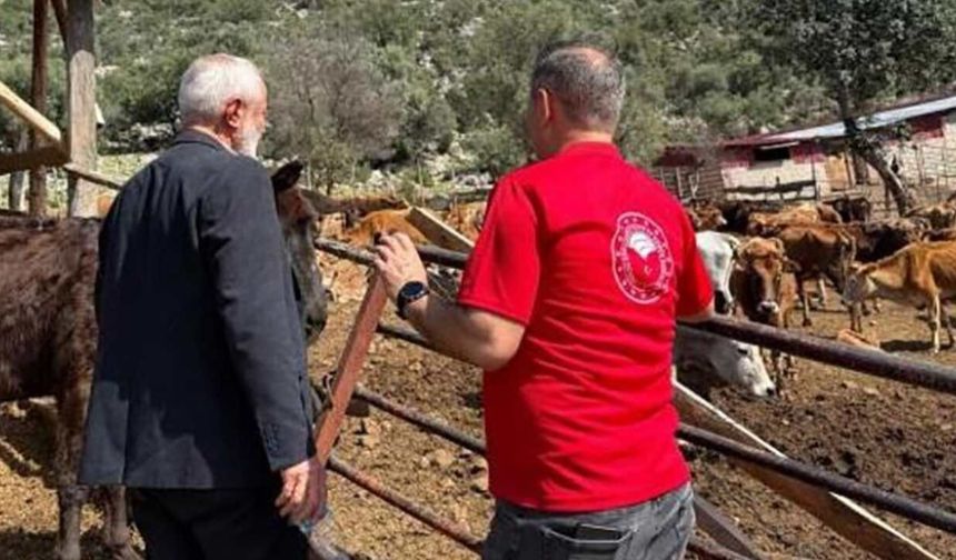 Adana’da "Güney Sarısı" Bereketi: Yerli Irk Üreticinin Yeni Gözdesi Oldu