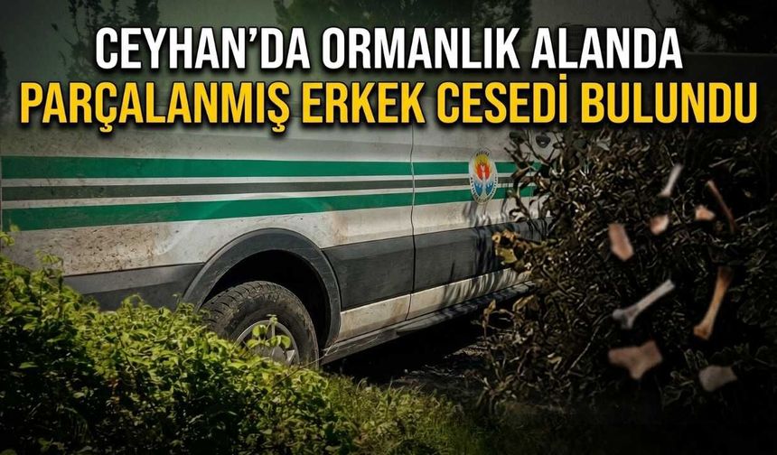 Ceyhan’da Ormanlık Alanda Parçalanmış Erkek Cesedi Bulundu