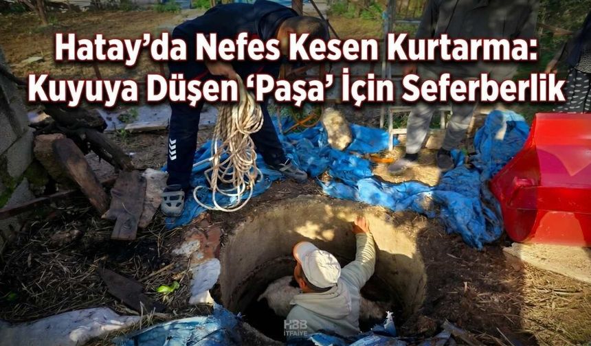 Hatay’da Nefes Kesen Kurtarma: Kuyuya Düşen "Paşa" İçin Seferberlik