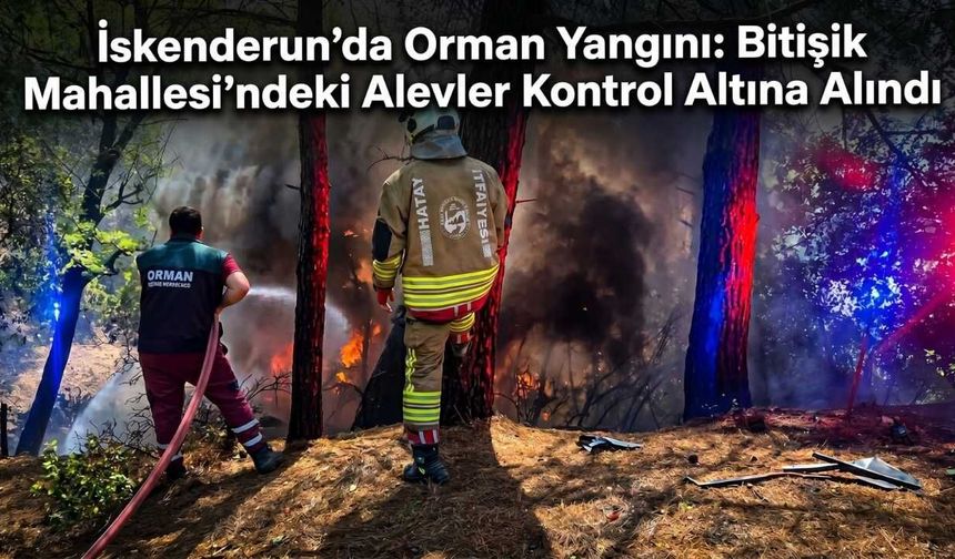 İskenderun’da Orman Yangını: Bitişik Mahallesi’ndeki Alevler Kontrol Altına Alındı
