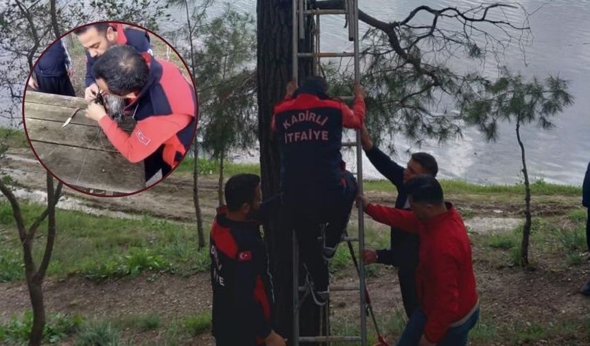 Milli Parkta İlginç Kurtarma! Oltaya Takılan Karga İçin Ekipler Seferber Oldu