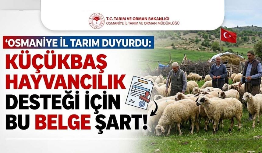Osmaniye İl Tarım Duyurdu: Küçükbaş Hayvancılık Desteği İçin Bu Belge Şart!