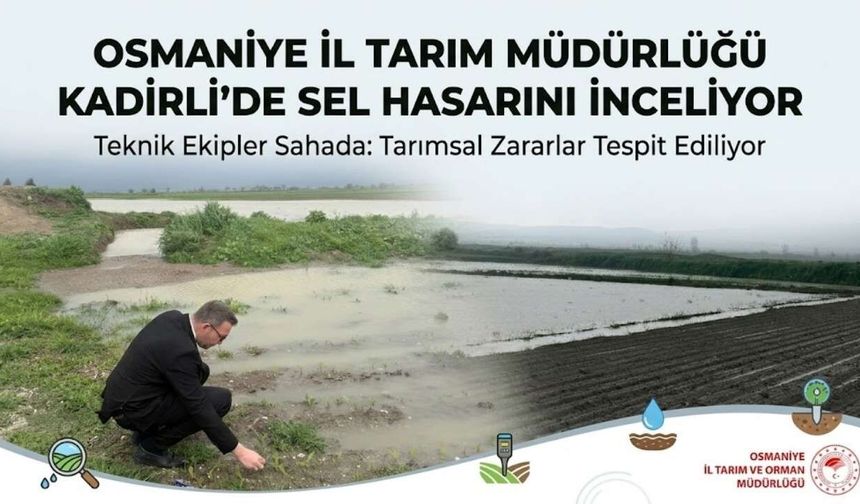 Osmaniye İl Tarım Müdürlüğü Kadirli'de Sel Hasarını İnceliyor