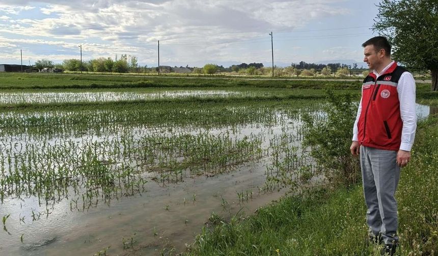 Osmaniye'de Sağanak Sonrası Tarımsal Hasar İçin Düğmeye Basıldı