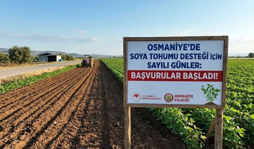 Osmaniye'de Soya Tohumu Desteği İçin Sayılı Günler: Başvurular Başladı!