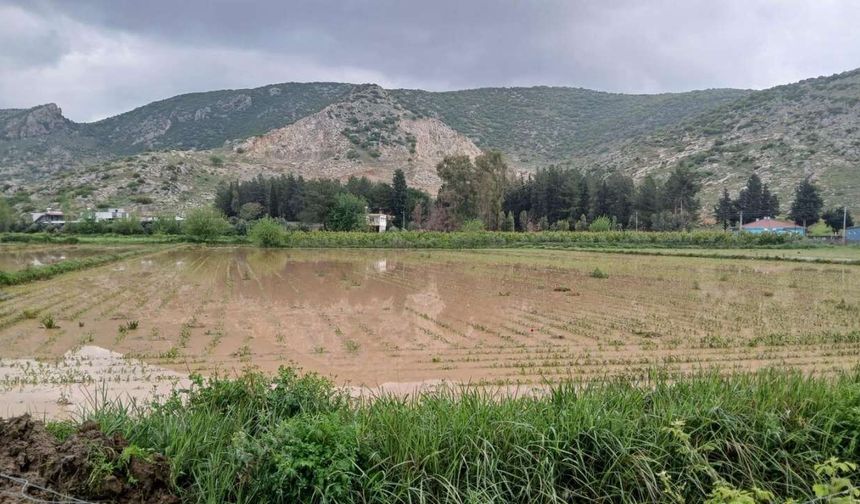 Osmaniye’de Tarım Arazilerinde Hasar Tespit Çalışmaları Başladı