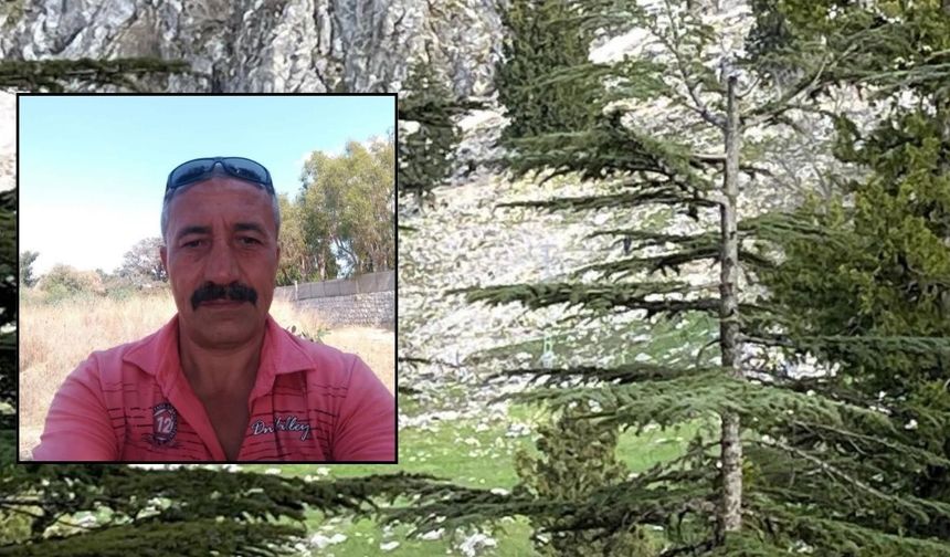 Osmaniye'de Yaylada Acı Olay: Kayalıklardan Düşen Kişi Hayatını Kaybetti