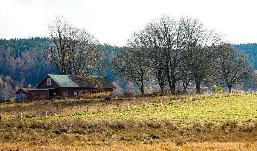 Tapusu Olan Herkesi İlgilendiriyor: O Yapılar İçin 'Derhal Boşaltın' Talimatı Geldi! 5 Dönüm Altı Olanlar Dikkat!