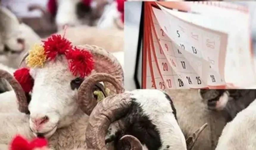 Yurt İçi ve Yurt Dışı Vekaletle Kurban Ücretleri 2026 İçin Açıklandı