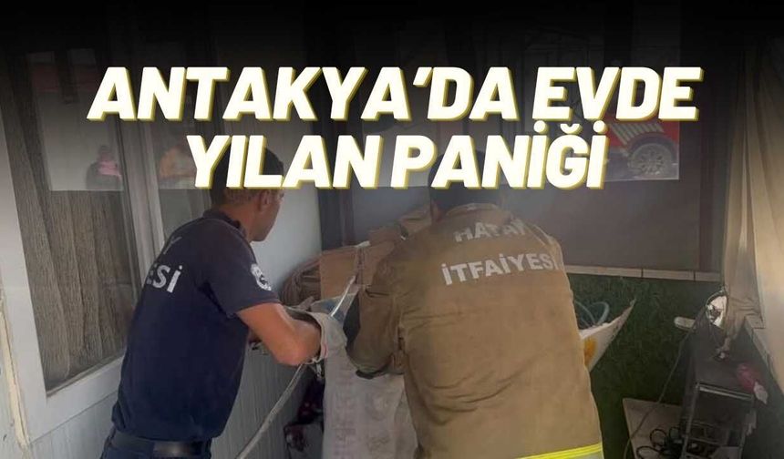 Antakya’da Evde Yılan Paniği