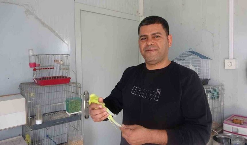 Antakyalı Abdullah Çıplak’ın 30 Yıllık Kuş Sevdası: Tek Bir Kuşla Başlayan Tutku