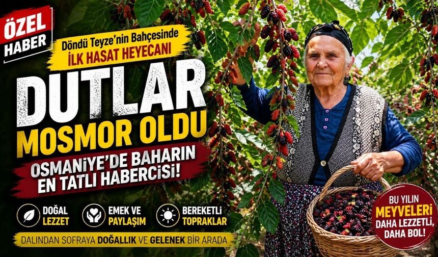 Bahçeden Sofraya Osmaniye'nin Meşhur Dutları Döndü Teyzenin Bahçesinde Göründü