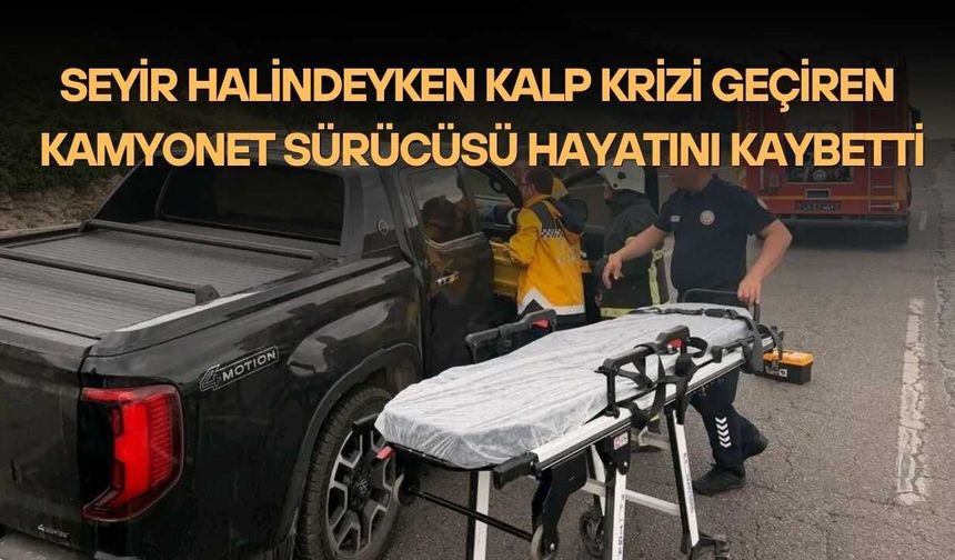 Seyir Halindeyken Kalp Krizi Geçiren Kamyonet Sürücüsü Hayatını Kaybetti