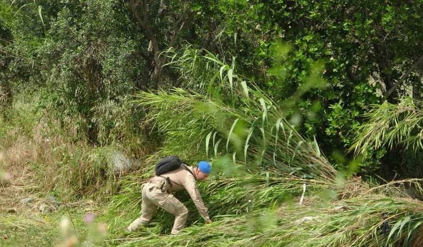 Çöken Köprüden Nehre Düşerek Kaybolan İki Genci Arama Çalışmaları Sürüyor