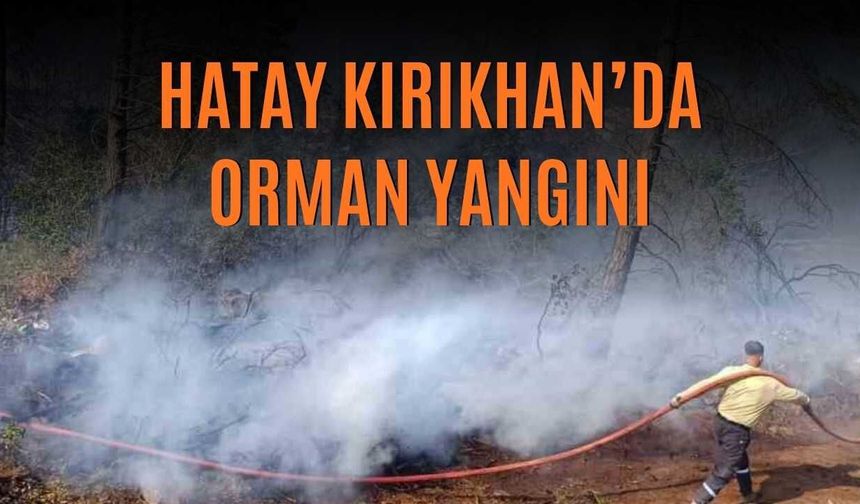 Hatay Kırıkhan’da Orman Yangını