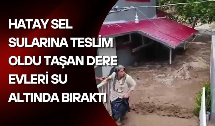 Hatay Sel Sularına Teslim Oldu Taşan Dere Evleri Su Altında Bıraktı