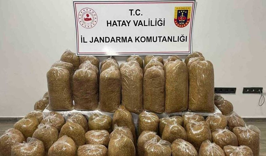 Hatay’da Jandarma’dan Dev Operasyon: 71 Şüpheli Yakalandı