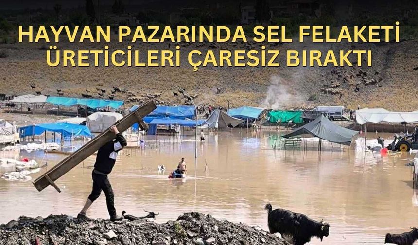 Hayvan Pazarında Sel Felaketi Üreticileri Çaresiz Bıraktı