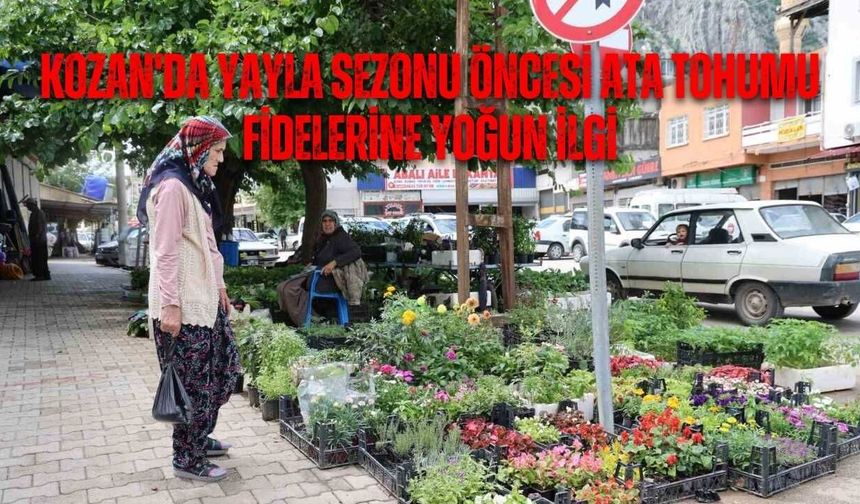 Adana Kozan'da Yayla Sezonu Öncesi Ata Tohumu Fidelerine Yoğun İlgi