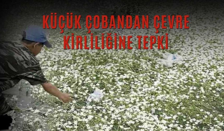 Küçük Çobandan Çevre Kirliliğine Tepki