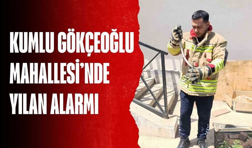 Kumlu Gökçeoğlu Mahallesi’nde Yılan Alarmı