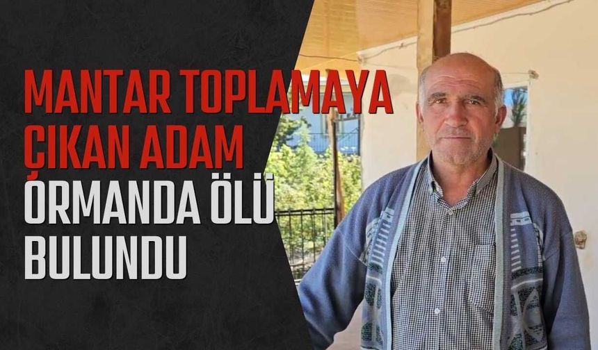 Mantar Toplamaya Çıkan Adam Ormanda Ölü Bulundu