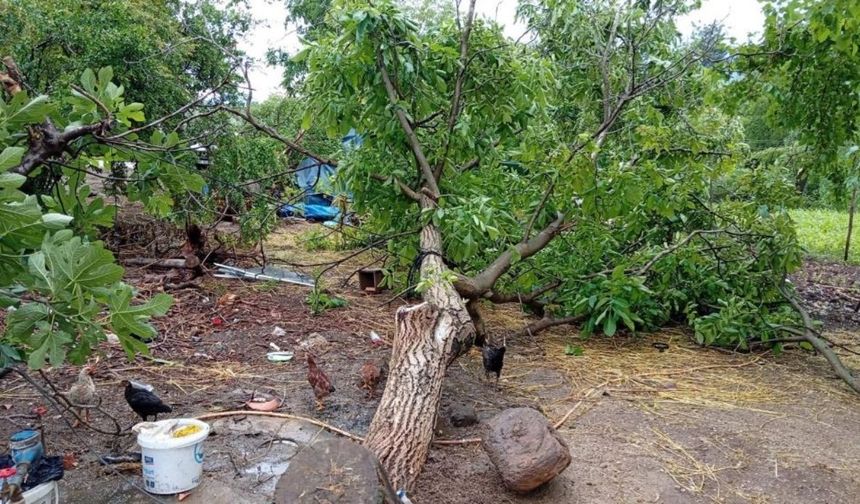 Osmaniye Düziçi’ni Hortum Vurdu! Bostanlar Köyünde Korku Dolu Anlar