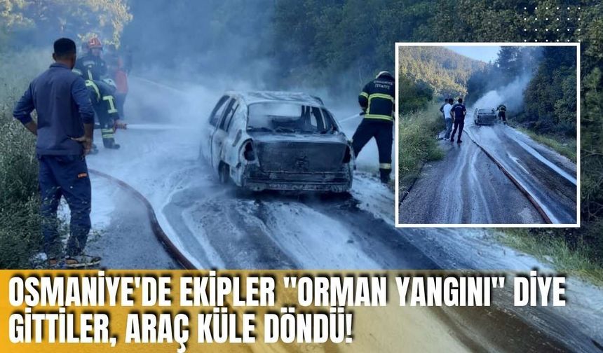 Osmaniye'de Ekipler "Orman Yangını" Diye Gittiler, Araç Küle Döndü!