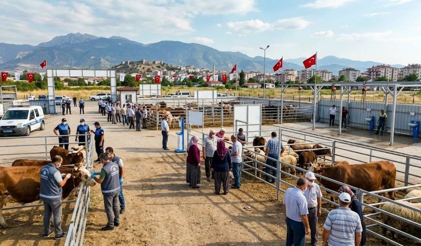 Osmaniye’de Bayram'da Kuş Uçurtulmayacak!