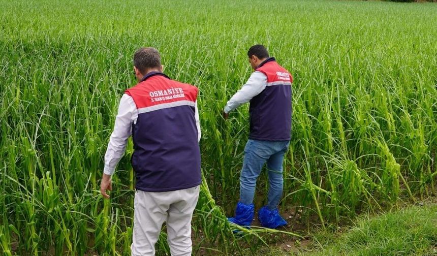 Yağışın Vurduğu Osmaniye'de Üretici İçin Seferberlik!