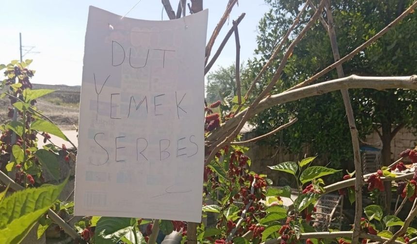 Osmaniye'de alkışlanacak hareket! ''Dut Yemek Serbest!''