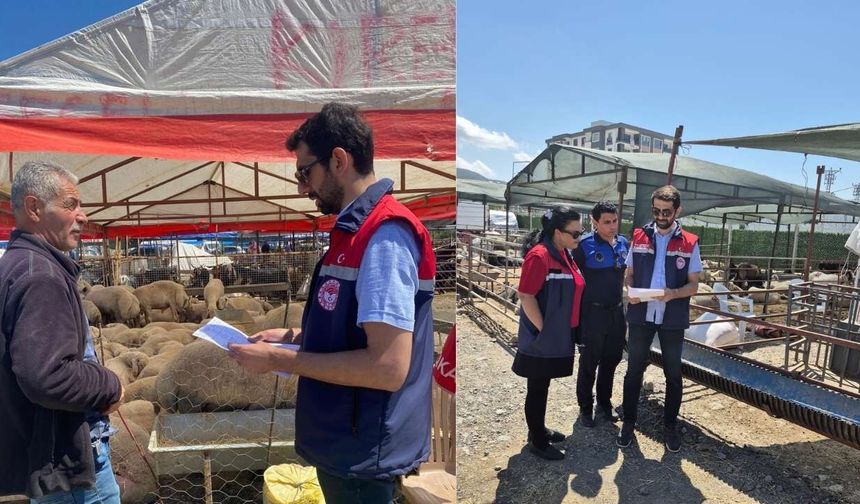 Osmaniye’de Kurbanlıklara Sıkı Denetim