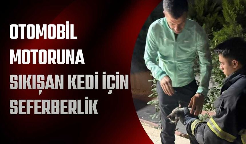 Otomobil Motoruna Sıkışan Kedi İçin Seferberlik