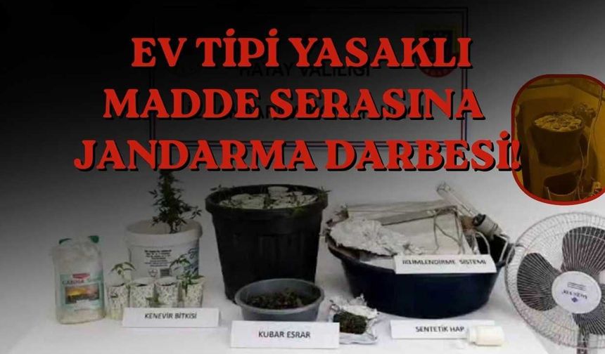 Reyhanlı’da Ev Tipi Yasaklı Madde Serasına Jandarma Darbesi!