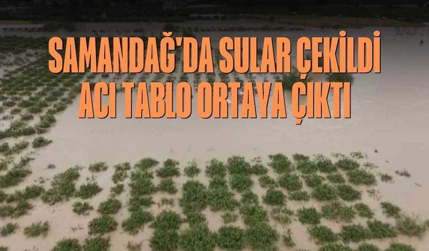 Samandağ'da Sular Çekildi, Acı Tablo Ortaya Çıktı