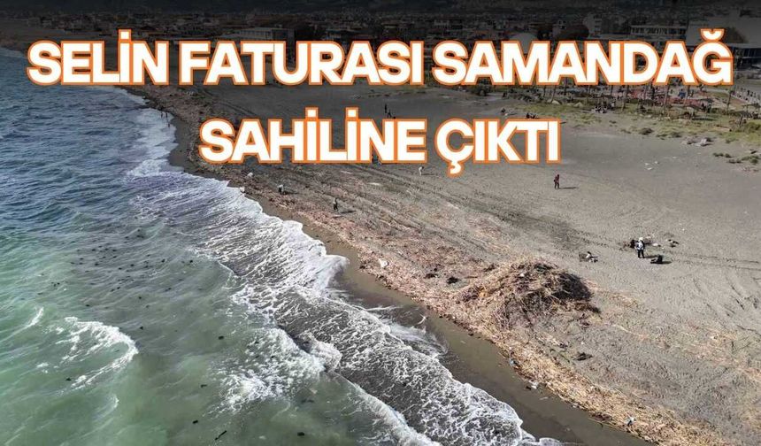Selin Faturası Samandağ Sahiline Çıktı